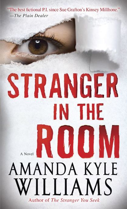 Stranger in the Room: A Novel by Amanda Kyle Williams