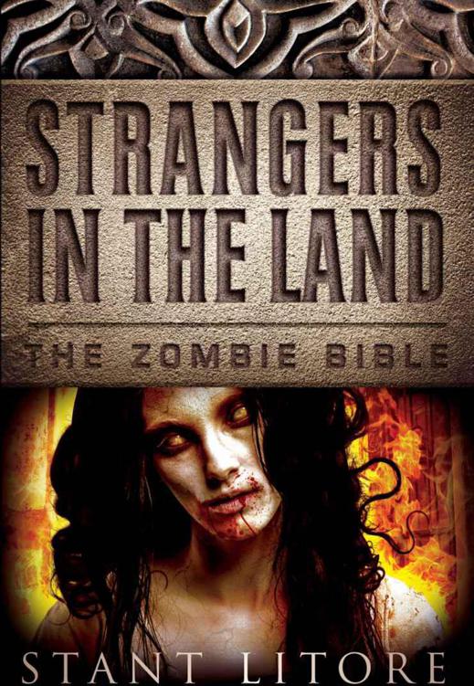 Strangers in the Land (The Zombie Bible) by Stant Litore