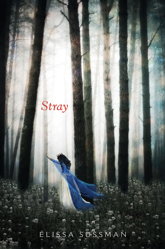 Stray by Elissa Sussman