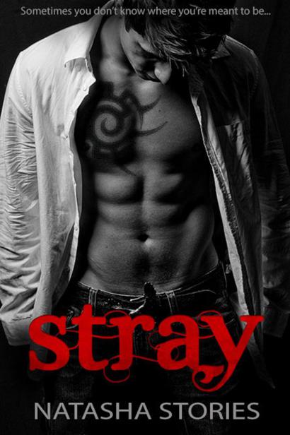 Stray by Natasha Stories