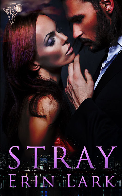 Stray by Erin Lark