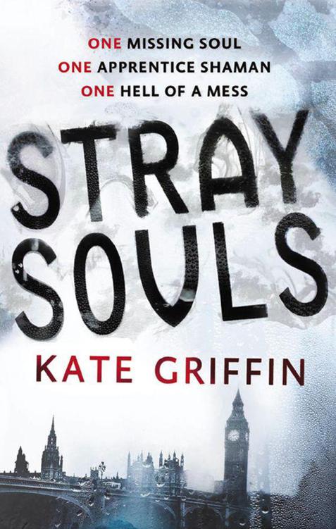 Stray Souls (Magicals Anonymous) by Kate Griffin