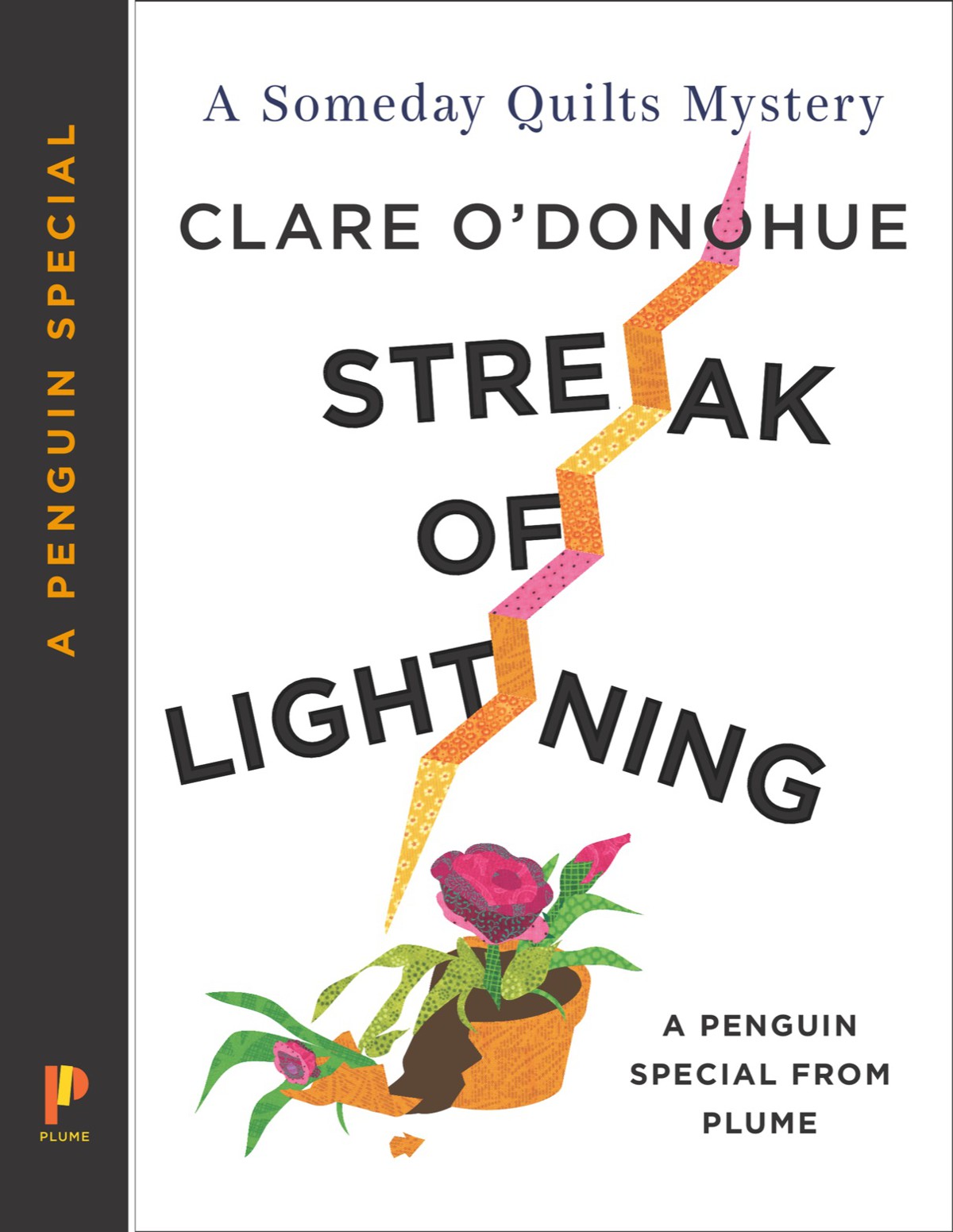 Streak of Lightning by Clare O'Donohue