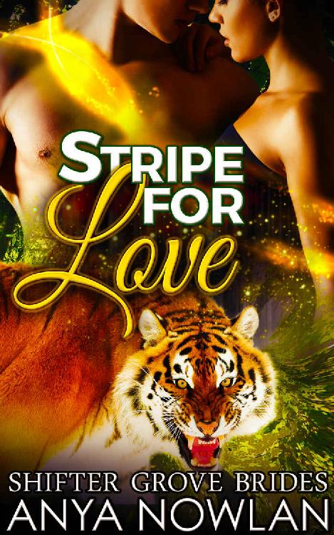 Stripe for Love: Paranormal Surprise Pregnancy Tiger Shifter Romance (Shifter Grove Brides Book 6) by Anya Nowlan
