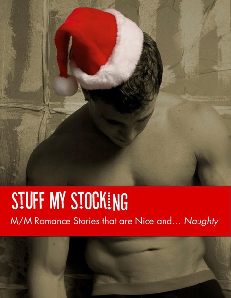 Stuff My Stocking: M-M Romance Stories that are Nice and Naughty by Various Authors