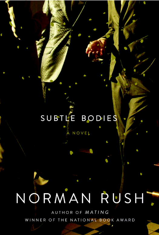 Subtle Bodies by Norman Rush