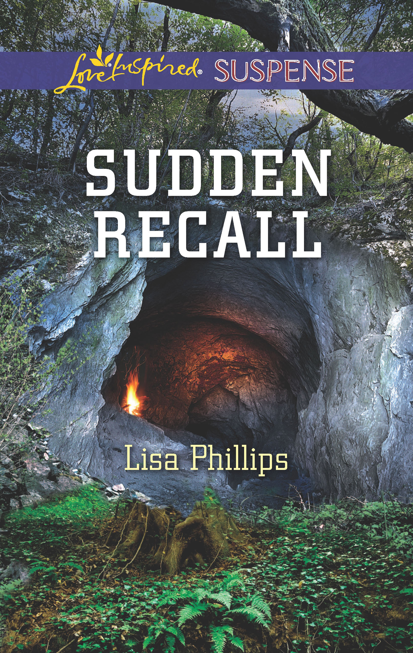 Sudden Recall (2015) by Lisa Phillips