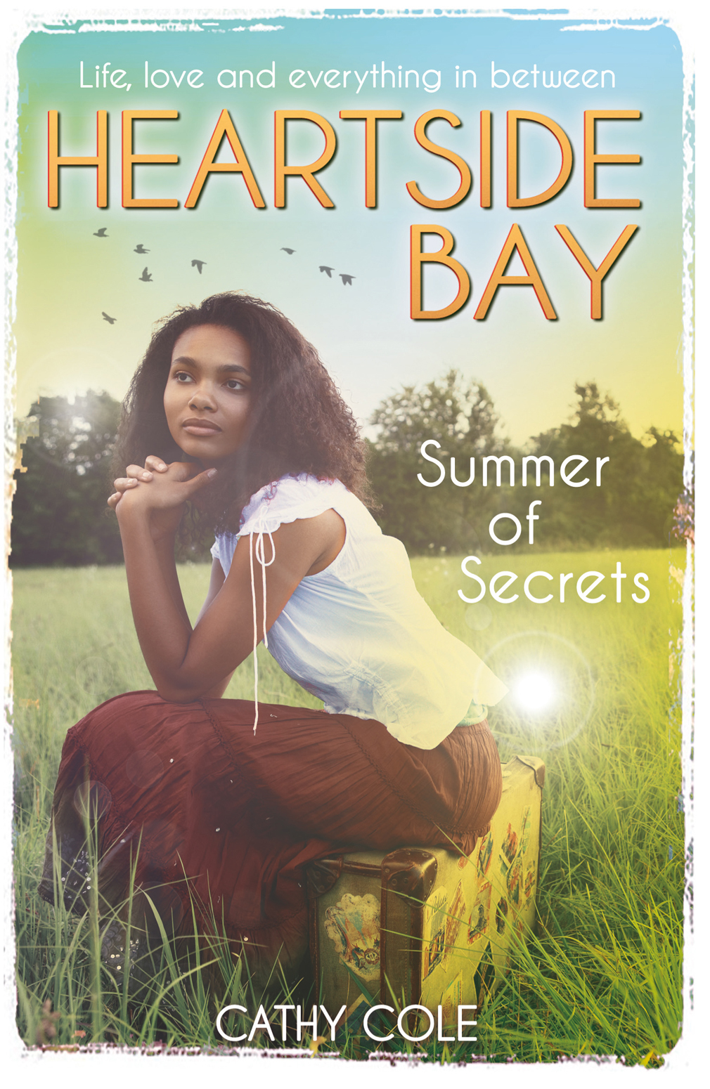 Summer of Secrets (2014) by Cathy Cole