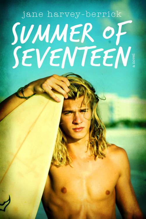 Summer of Seventeen by Jane Harvey-Berrick