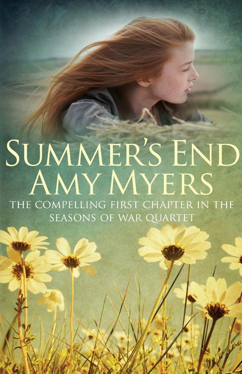 Summer's End (2015) by Amy Myers