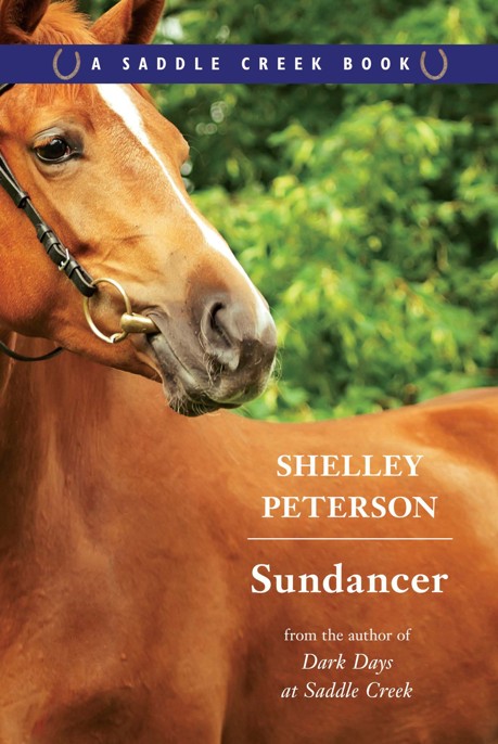 Sundancer by Shelley Peterson