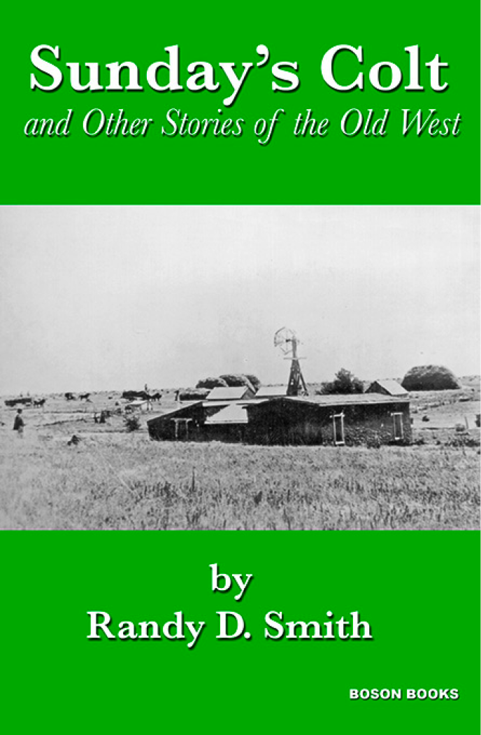 Sunday's Colt & Other Stories (2009) by Randy D. Smith