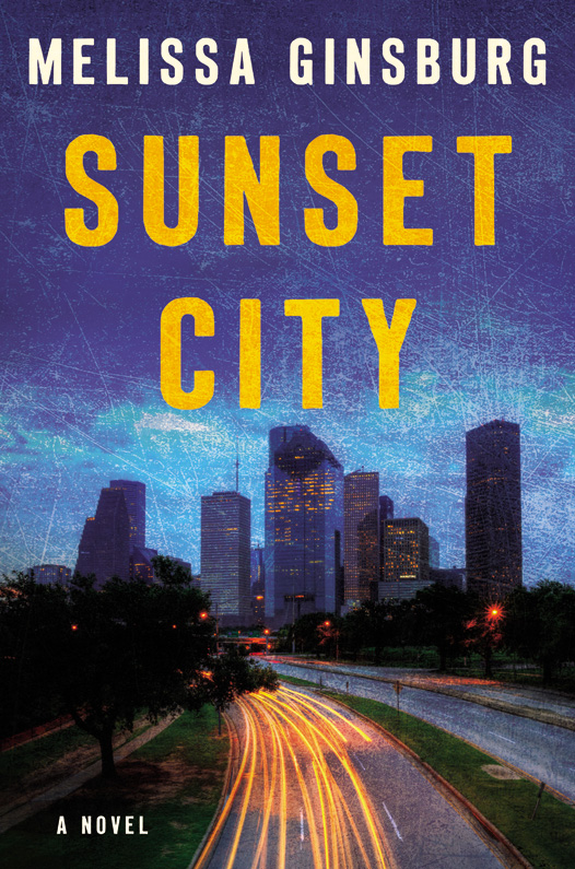 Sunset City (2016) by Melissa Ginsburg