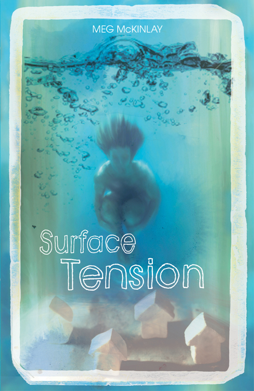 Surface Tension (2015) by Meg McKinlay