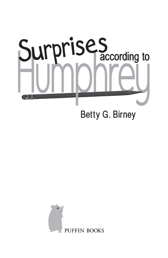 Surprises According to Humphrey (2008)