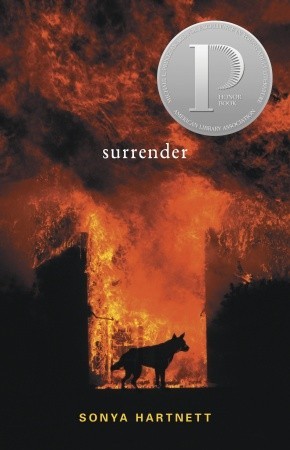 Surrender (2007) by Sonya Hartnett