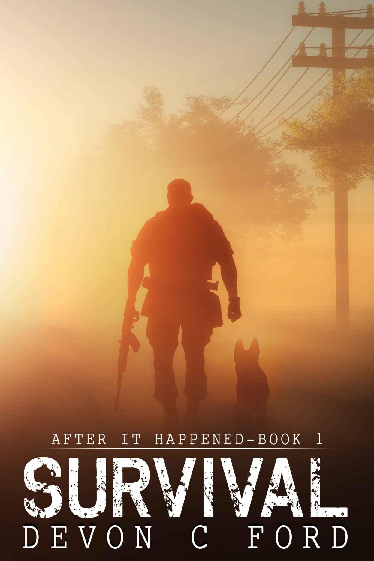 Survival: After It Happened Book 1 by Devon C Ford