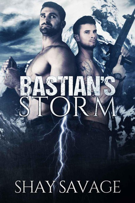 Surviving Raine 02 Bastian's Storm by Shay Savage