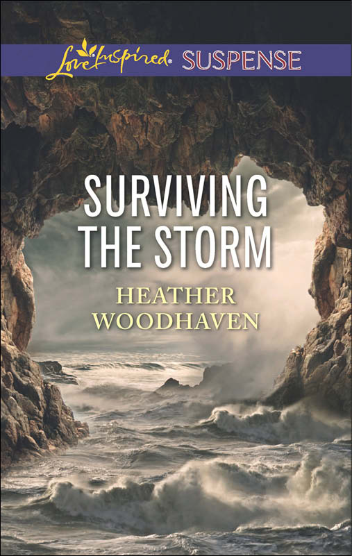 Surviving the Storm (2015)