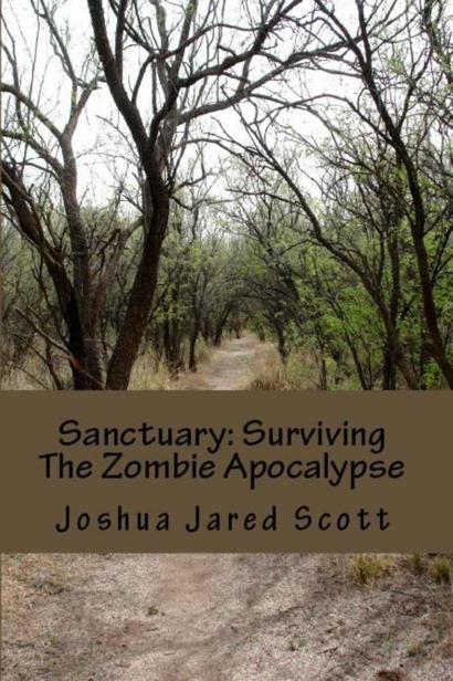 Surviving The Zombie Apocalypse (Book 1): Sanctuary