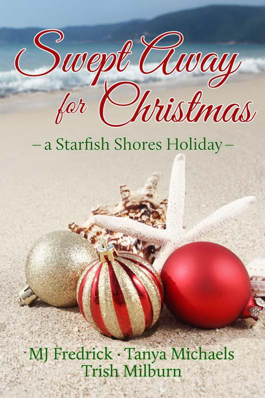 Swept Away for Christmas by M. J. Fredrick