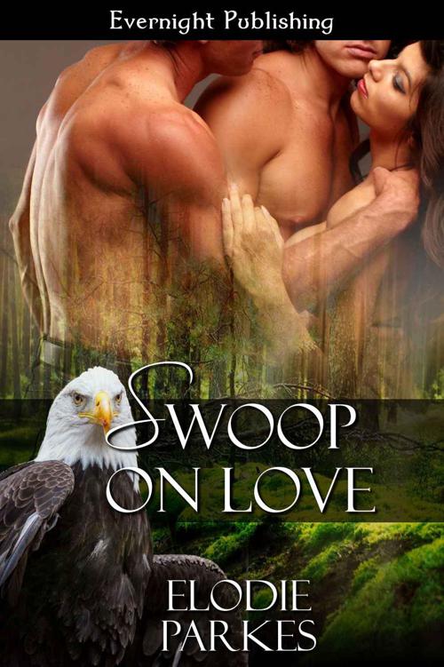 Swoop on Love by Parkes, Elodie