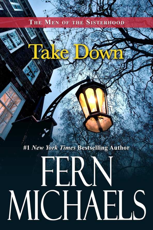 Take Down (The Men of the Sisterhood) by Fern Michaels