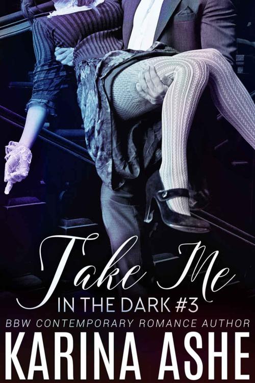 Take Me in the Dark by Ashe, Karina