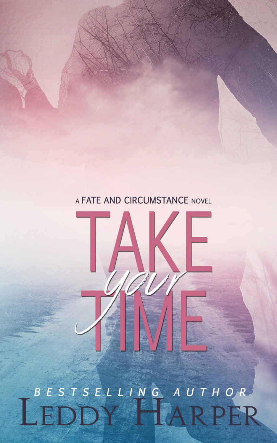 Take Your Time (Fate and Circumstance #2) by Leddy Harper