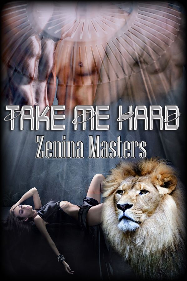 TakeMeHard (2012) by Zenina Masters