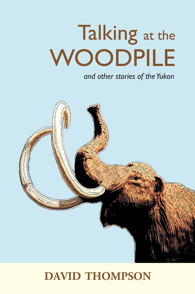 Talking at the Woodpile (2011) by David Thompson