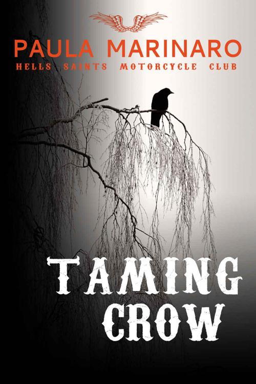 Taming Crow (Hells Saints Motorcycle Club)