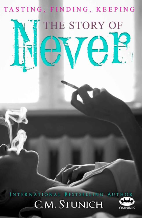 Tasting, Finding, Keeping: The Story of Never by C.M. Stunich