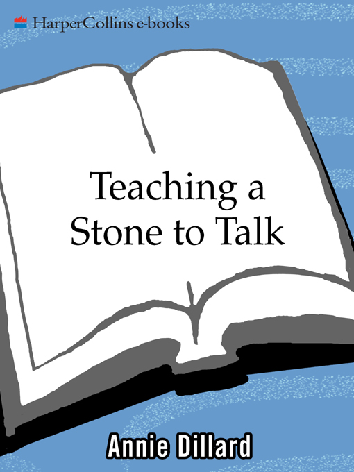 Teaching a Stone to Talk