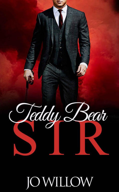 Teddy Bear Sir (The Sloan Brothers Book 3) by Willow, Jo