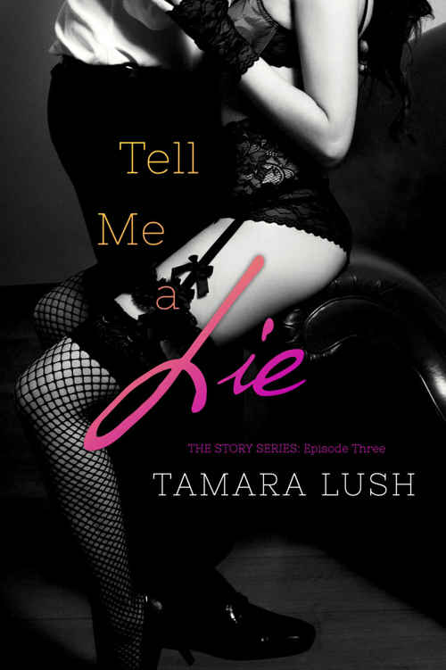 Tell Me a Lie (The Story Series Book 3)