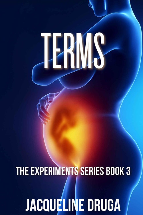 Terms (The Experiments Book 3)