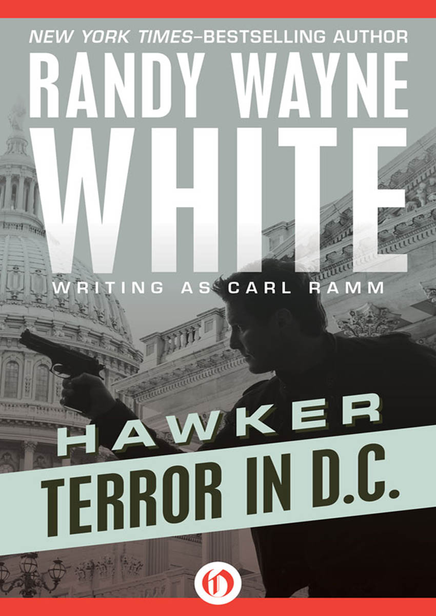 Terror in D.C. by Randy Wayne White