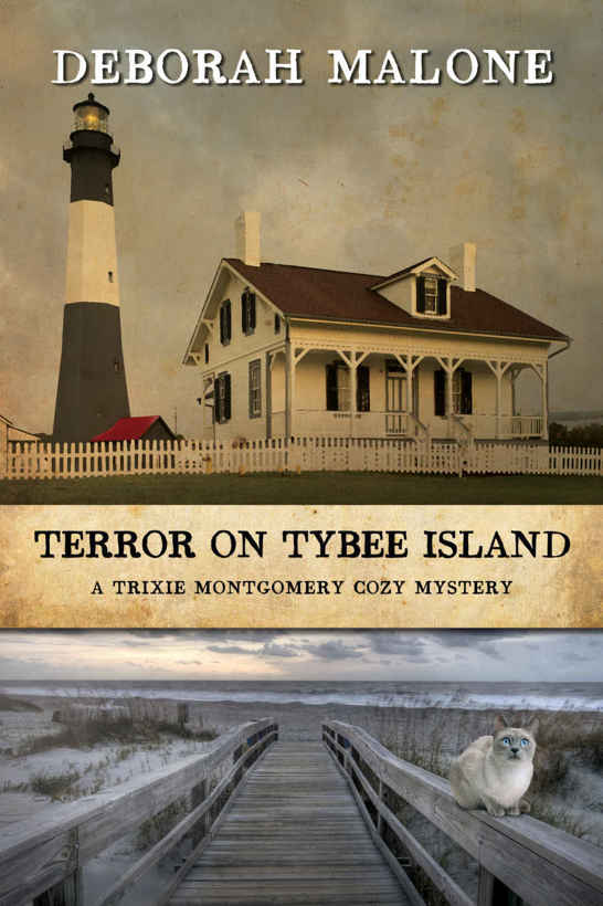 Terror on Tybee Island (A Trixie Montgomery Cozy Mystery Book 3) by Deborah Malone