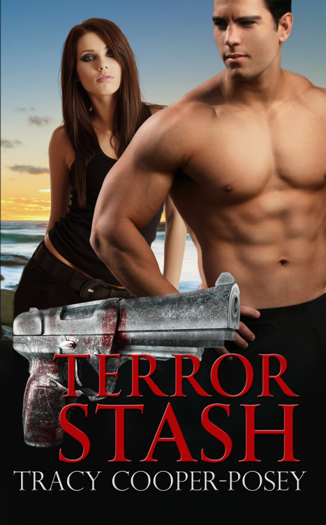 Terror Stash by Tracy Cooper-Posey