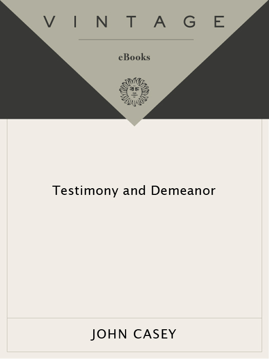 Testimony and Demeanor (2014) by John D. Casey