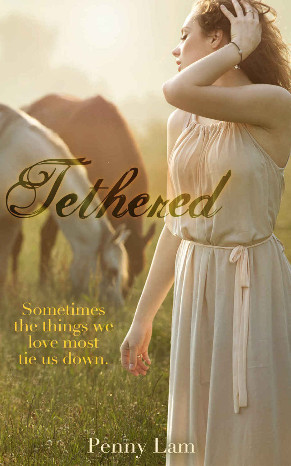 Tethered (The Stables Trilogy #2) by Penny Lam