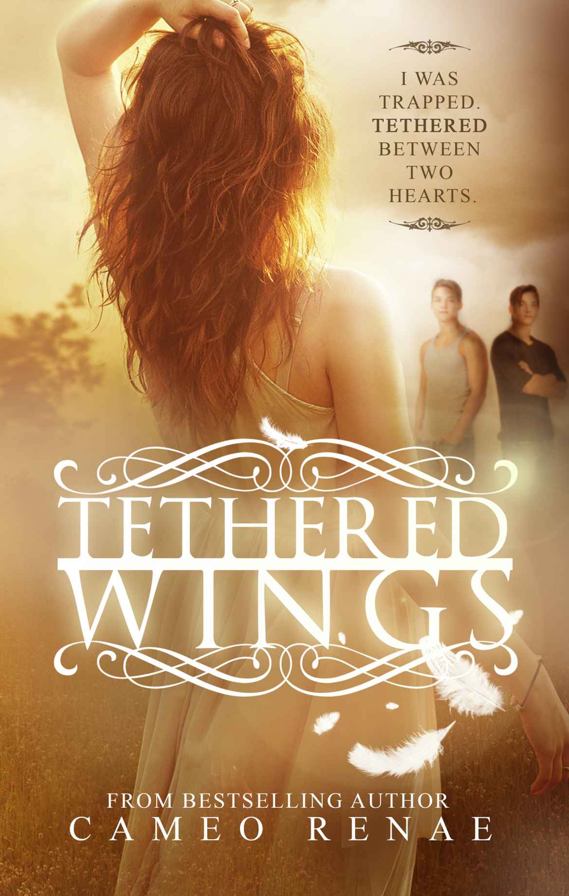 Tethered Wings (Hidden Wings Series) by Renae, Cameo