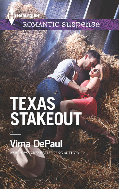 Texas Stakeout (2014) by Virna DePaul