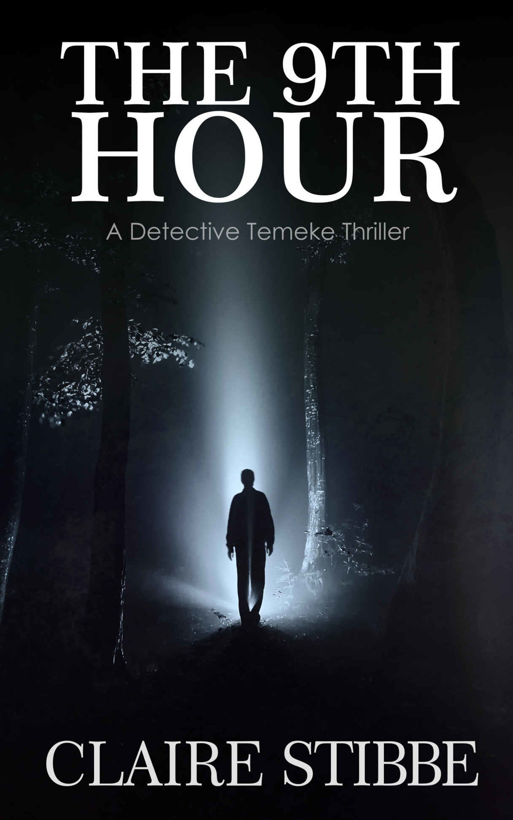 The 9th Hour (The Detective Temeke Crime Series Book 1)