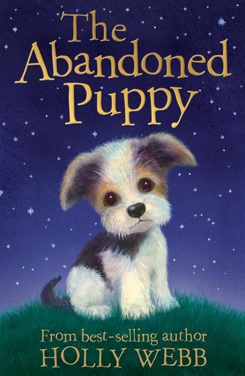 The Abandoned Puppy (2014)