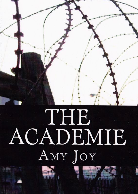 The Academie by Amy Joy