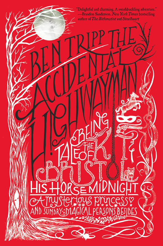 The Accidental Highwayman by Ben Tripp