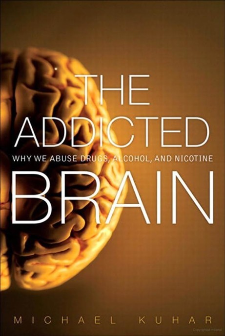 The Addicted Brain by Michael Kuhar