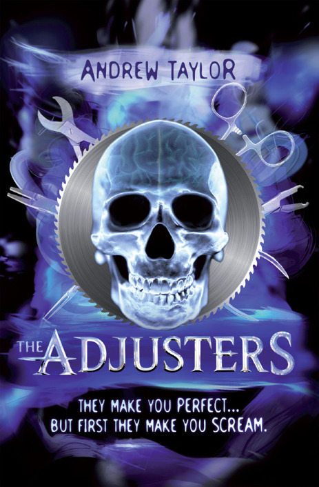 The Adjusters by Taylor, Andrew